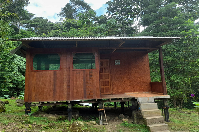 Amazon Harpy Lodge in Manu Jungle